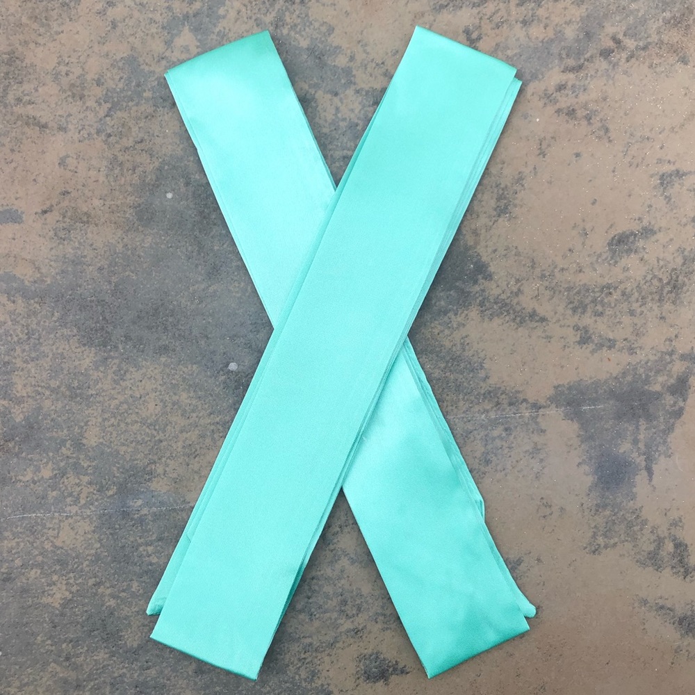 2pc Mint Silk Scarf Wrap Bandeau Purse Twilly